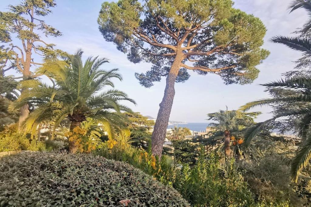 Appartement Nice Centre Vue Mer Avec Piscine Pour Famille, Couple D'Amis Pas De Groupes De Jeunes Autorises Экстерьер фото